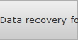 Data recovery for Rawlins data